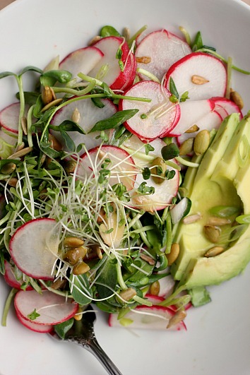Avocado, Radish + Sprout Salad with Tangy Miso Dressing ⎮ happy hearted kitchen