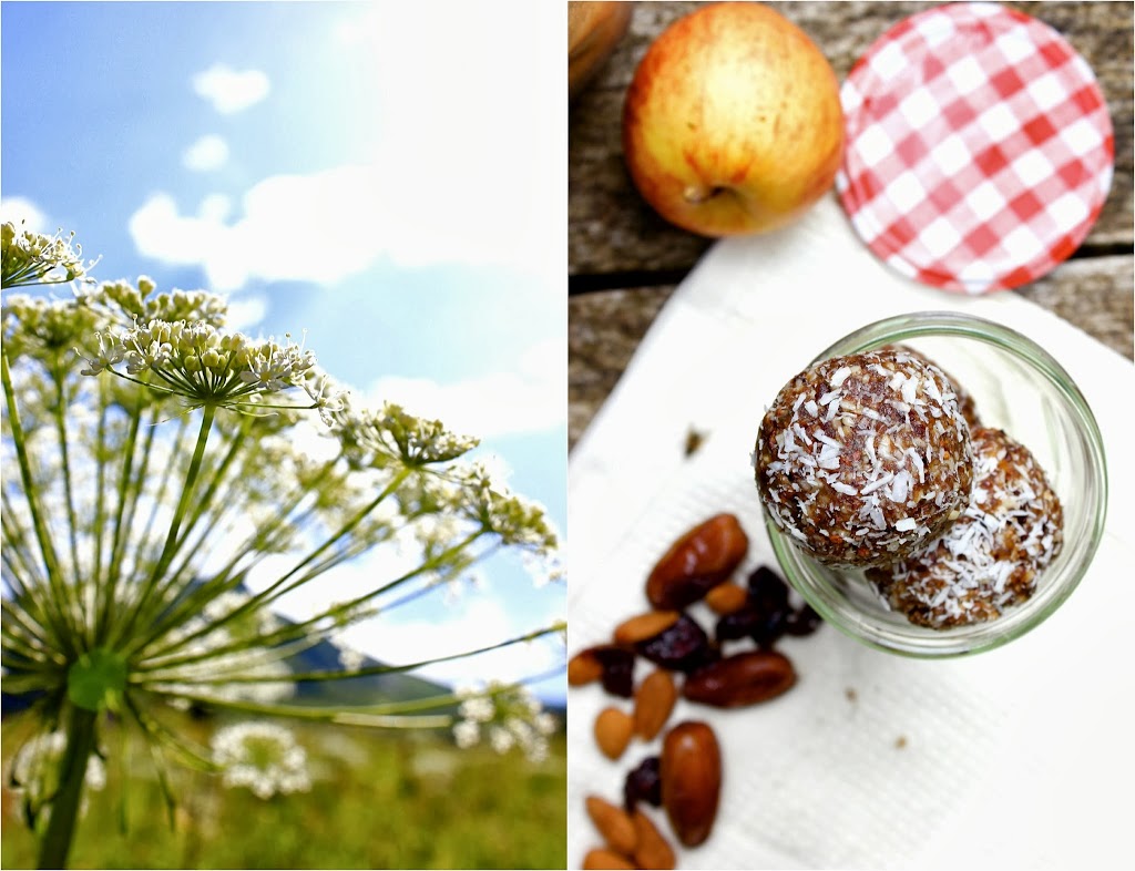 Trail mix bites loaded with dates, almonds, sunflower seeds, cranberries and peanut butter. Raw, vegan and gluten free. Quick and easy snacks!